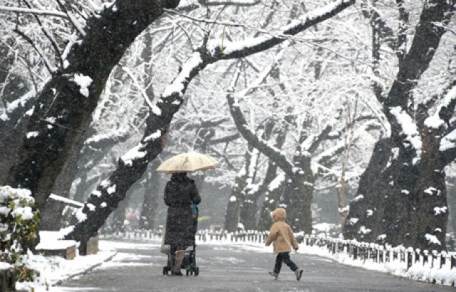 2 killed, 100 injured as Japan hit by heavy snowfall